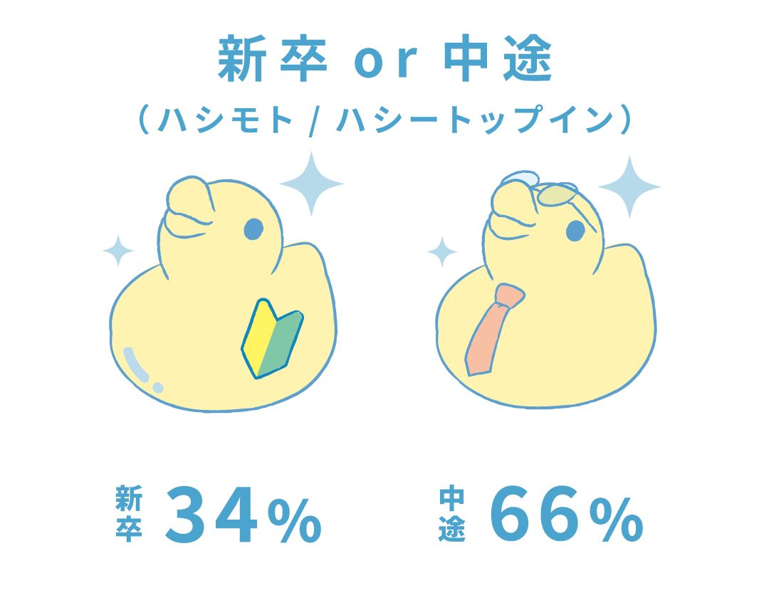 Hashy ハシモト ハシートップイン 社員 新卒 中途 割合